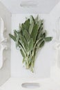 Sage leaves herbs on white tray Royalty Free Stock Photo