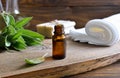 Sage oil Royalty Free Stock Photo