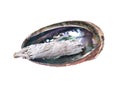 Sage smudge stick in bright polished rainbow abalone shell Royalty Free Stock Photo