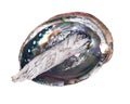 Sage smudge stick in bright polished rainbow abalone shell Royalty Free Stock Photo