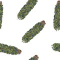 Sage smudge sticks hand-drawn boho seamless pattern. Juniper herb bundle texture background