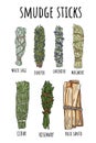 Sage smudge sticks hand-drawn set of doodles. Herb bundles collection Royalty Free Stock Photo