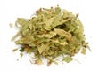 Sage tea Royalty Free Stock Photo