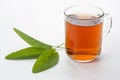 Sage tea Royalty Free Stock Photo