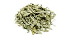 Sage tea Royalty Free Stock Photo