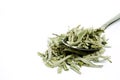 Sage tea Royalty Free Stock Photo