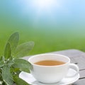 Sage tea for the breakfast Royalty Free Stock Photo