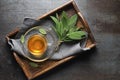 Sage tea cup with fresh sage leaves Royalty Free Stock Photo