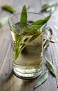 Sage tea Royalty Free Stock Photo