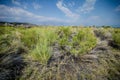 Sagebrush and Tufa tower formations at Mono Lake in California`s eastern Sierra, located off of US-395 Royalty Free Stock Photo