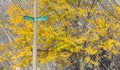 Saginaw Michigan Crossroads Intersection Sign Royalty Free Stock Photo