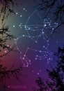 Sagittarius zodiac constellations sign with forest landscape silhouette on beautiful starry sky with galaxy and space Royalty Free Stock Photo