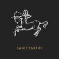 Sagittarius zodiac symbol, hand drawn in engraving style. Vector graphic retro illustration of astrological sign Centaur