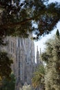 Sagrada. Details. Gaudi. Gothic. Church