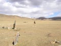 SAGSAY, MONGOLIA - MAY 22, 2012: Mongolian horseman shepherd his of sheep in the desert