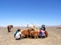 SAGSAY, MONGOLIA - MAY 25, 2012: Mongolian women organize the Morning milking their of goats near a yurt in the steppe. Nomadic