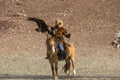 Golden Eagle Hunter, while hunting to the hare holding a golden eagles on his arms in desert mountain