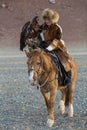 Young Kazakh Eagle Huntress Berkutchi woman with horse while hunting to the hare with a golden eagles Royalty Free Stock Photo