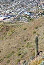 Arizona Saguaro cacti in Phoenix North Mountain Park Royalty Free Stock Photo