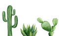 Saguaro cactus. Aloe vera. Green painted plants. Minimalist art set. Detail for card, postcard, wedding invitation Royalty Free Stock Photo
