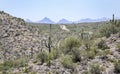 Saguaro Cactus desert mountains, Colossal Cave Mountain Park, Arizona Royalty Free Stock Photo