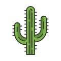 Saguaro cactus color icon