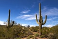 Saguaro cactus forest and Airstream RV Campsite Royalty Free Stock Photo