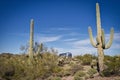 Saguaro cactus frame a vintage Airstream travel trailer Royalty Free Stock Photo