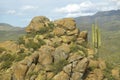 Saguaro cactus and hillside with mountains in background off Route 89 in the Superstition Mountains east of Phoenix, AZ