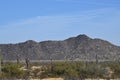 Saguaro cactus and mountain in the desert Royalty Free Stock Photo
