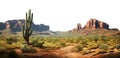 saguaro cactus in new mexico desert. transparent PNG. cacti, cactus, agave. barrel cactus, organ-pipe cactus, prickly pear