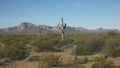 Saguaro cactus and puerto blanco mnts near ajo, az