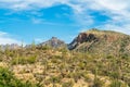 Saguaro cactus ravine in the hills of the north american desert in arizona in sonora with visible cliff peaks and mountains Royalty Free Stock Photo