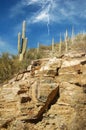 Saguaro cactus on a rocky cliff with lightning storm approaching in Arizona desert Royalty Free Stock Photo