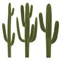 Saguaro Cactus Set