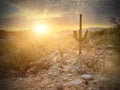 Saguaro cactus silhouette in a soft golden Sonoran desert scene Royalty Free Stock Photo