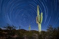 Saguaro Cactus Startrails Nightsky landscape Royalty Free Stock Photo