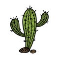 Saguaro cactus vector icon. Green desert plant with stones. Cute prickly succulent isolated on white. Hand drawn Royalty Free Stock Photo