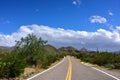 Road thru the Saguaro National Park, Arizona Royalty Free Stock Photo