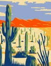 Saguaro National Park with Giant Saguaro Cactus in Sonoran Desert Pima County Arizona WPA Poster Art Royalty Free Stock Photo