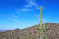 Saguaro National Park Landscape Royalty Free Stock Photo