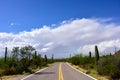 Saguaro National park in Arizona Royalty Free Stock Photo