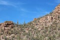 Saguaro, Ocotillo, Cholla Cacti and scrub brush growing on the top of a rocky mountain side in Saguaro National Park Royalty Free Stock Photo