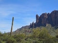 Saguaro Pointing in Lost Dutchman State Park Royalty Free Stock Photo