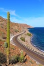 Saguaro and road in the bays of Loreto in baja california sur II Royalty Free Stock Photo