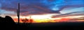 Saguaro Silhouette