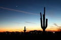 Saguaro Sunset