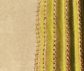 Saguaro Textures