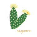 Saguaro vector flower