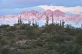 Saguaros with Four Peaks in Alpenglow Royalty Free Stock Photo